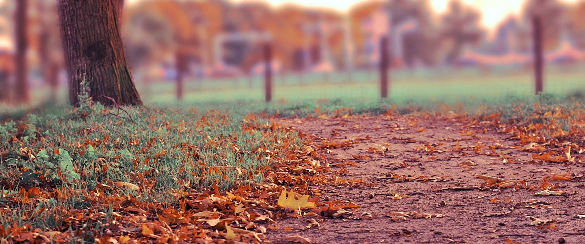 ddos攻击防御手段