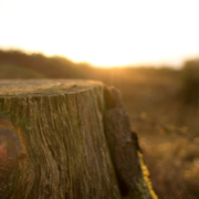 攻击网站在线工具