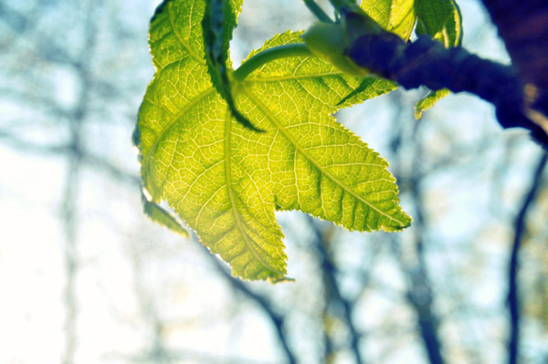 DDOS在线压力测试